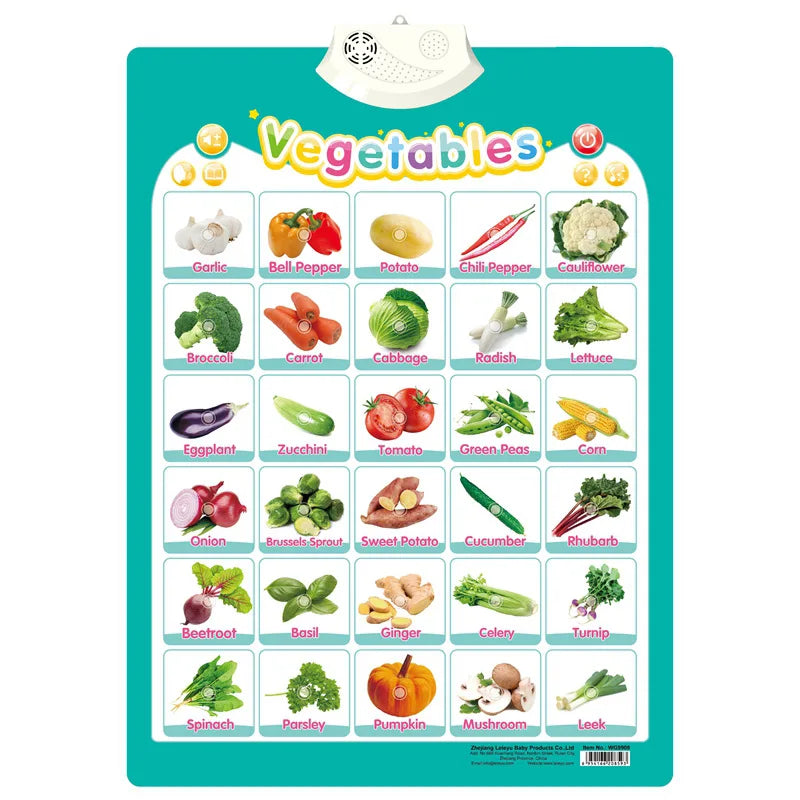Electronic Talking ABC Alphabet Wall Chart – Educational Learning Toy for Toddlers
