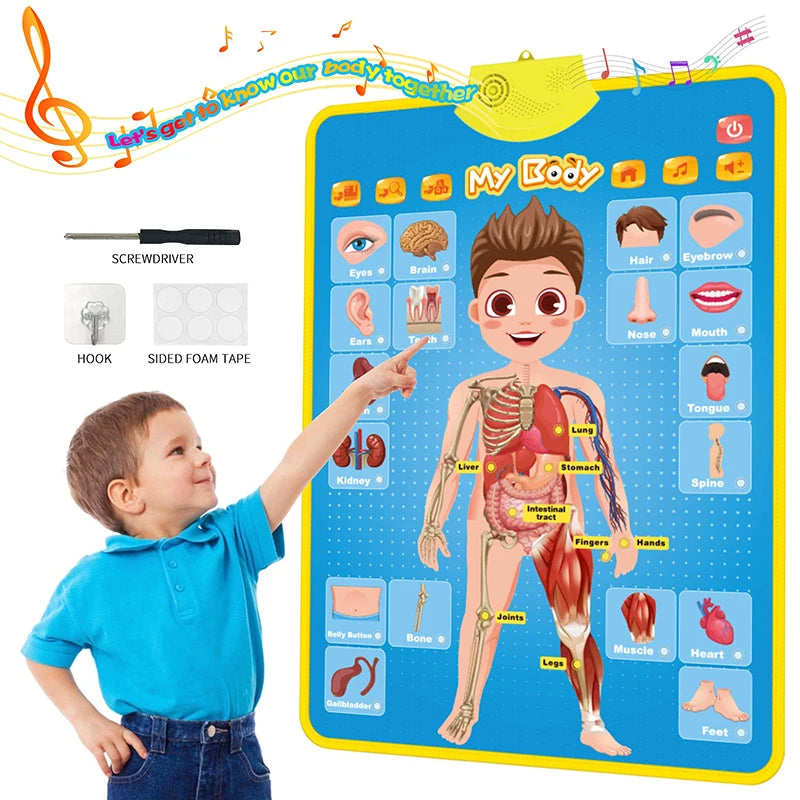 Electronic Talking ABC Alphabet Wall Chart – Educational Learning Toy for Toddlers